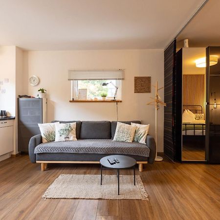 Ideal Fuer Kurze Aufenthalte - Gemuetliches 1-Zimmer-Apartment Adelsdorf 外观 照片